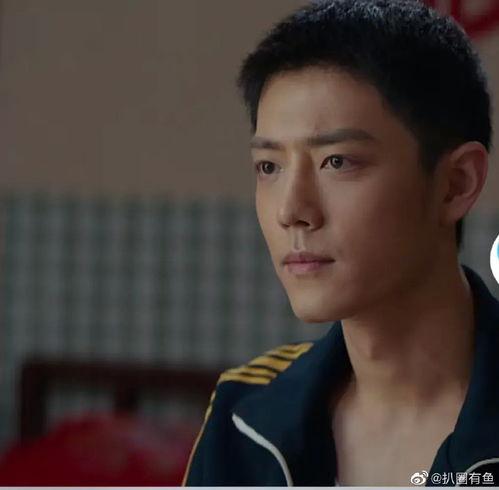 肖战李沁最新八卦爆料,甜蜜互动引粉丝热议 第3张 肖战李沁最新八卦爆料,甜蜜互动引粉丝热议 第3张