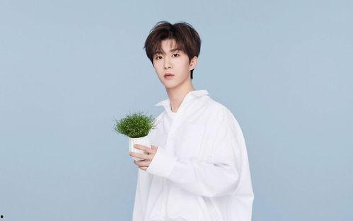 圈内大爆料鞠婧祎范丞丞,神秘恋情引热议  第1张