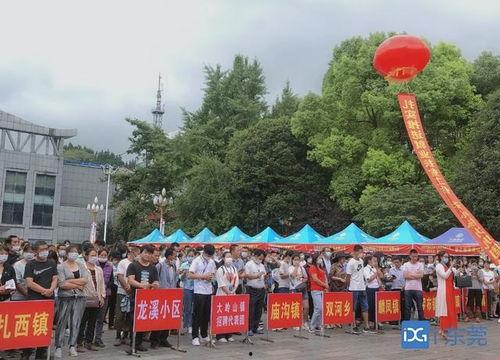 东莞大岭山爆料新闻事件,真相与影响揭秘